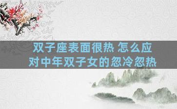 双子座表面很热 怎么应对中年双子女的忽冷忽热